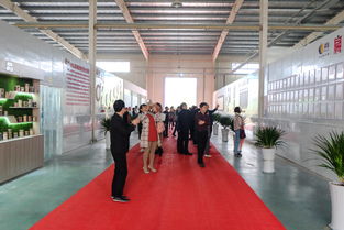 扁醫食療養生全餐全國發布會圓滿舉行，專業會議服務賦能健康新篇章